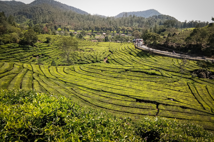 Wisata Alam Bandung: Udara Sejuk, Pemandangan Memukau
